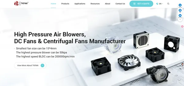 10 Homepage screenshot of TKFAN .webp